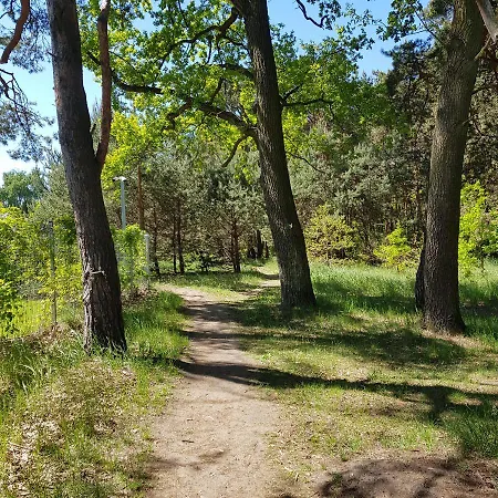 아파트 Jpapartments Nadmorski Park