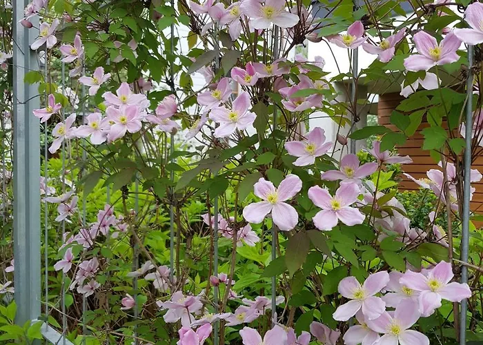 Apartman Jpapartments Nadmorski Park