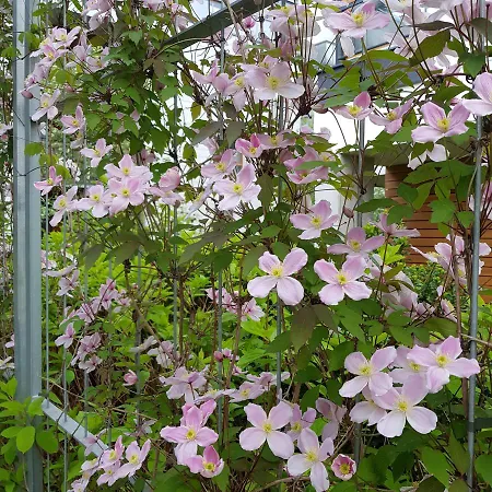 Appartamento Jpapartments Nadmorski Park